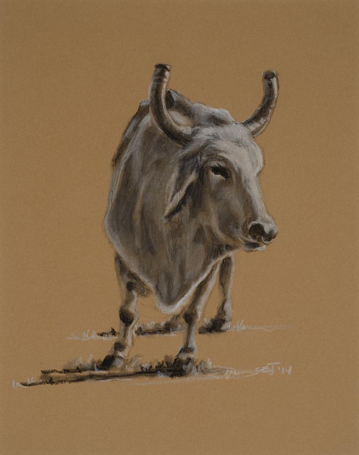 Ox