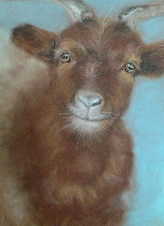 Michaela's goat